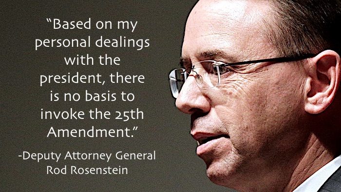 Click to enlarge Rosensteinstatement
