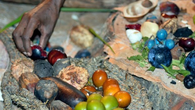 Click to enlarge foodies