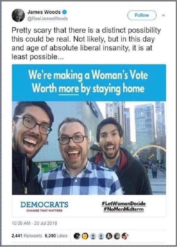 Click to enlarge James Woods tweet