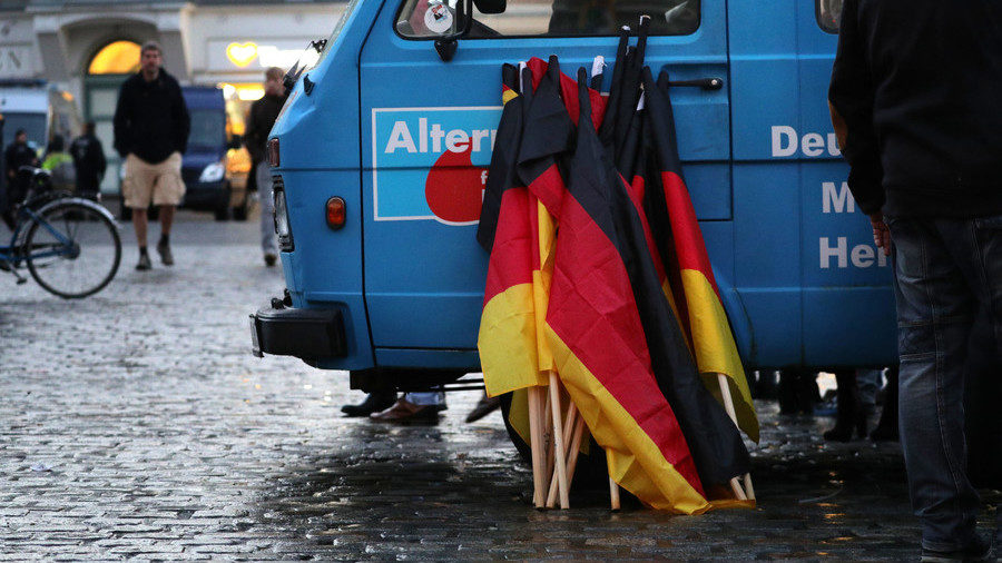 AfD rally Germany
