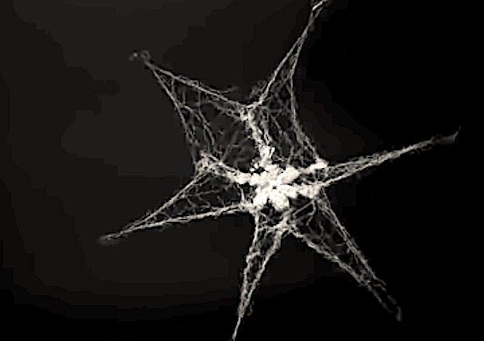 Click to enlarge Space nets