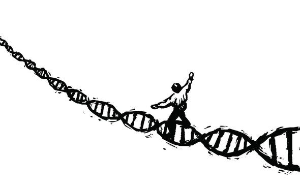 gene drives