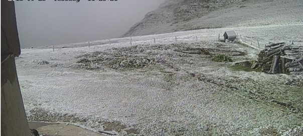 Click to enlarge snow