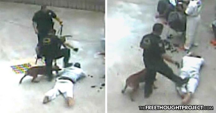 Click to enlarge K9 mauling