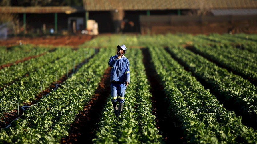 Click to enlarge south african farmer