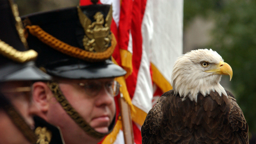 bald eagle