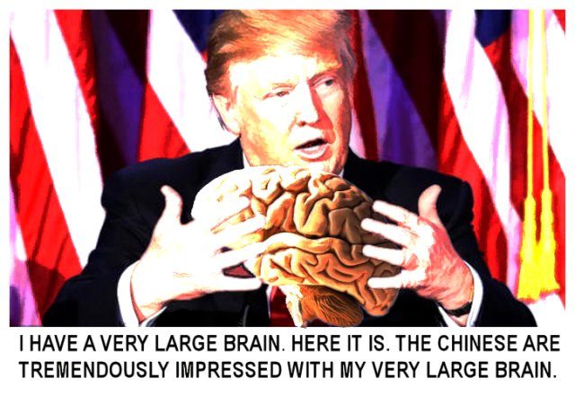 trump brain