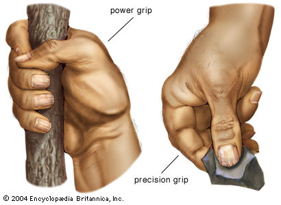 precision power grip