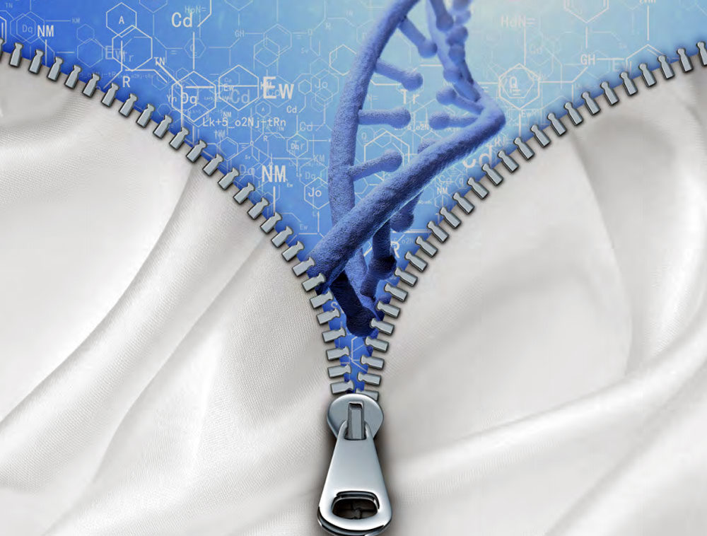 Click to enlarge GMO cloths
