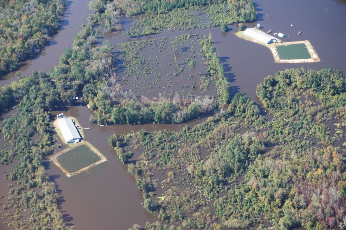 North Carolina farming flooding