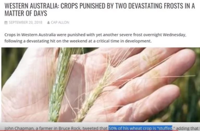 WA wheat crop losses
