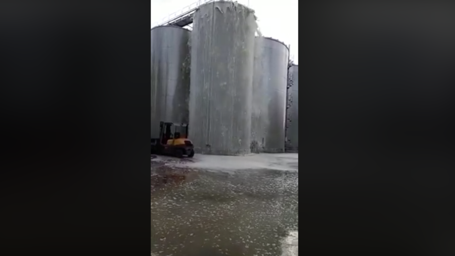 Wine vats
