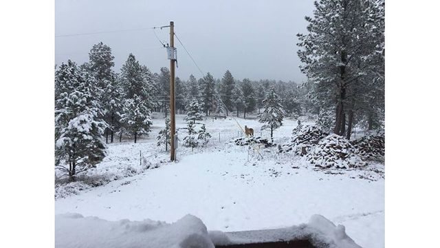Click to enlarge Custer County