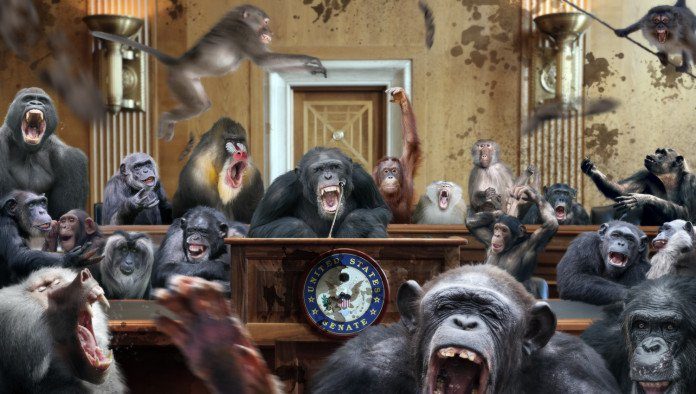 US Senate