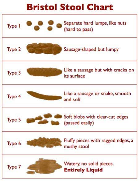 Bristol Stool Chart