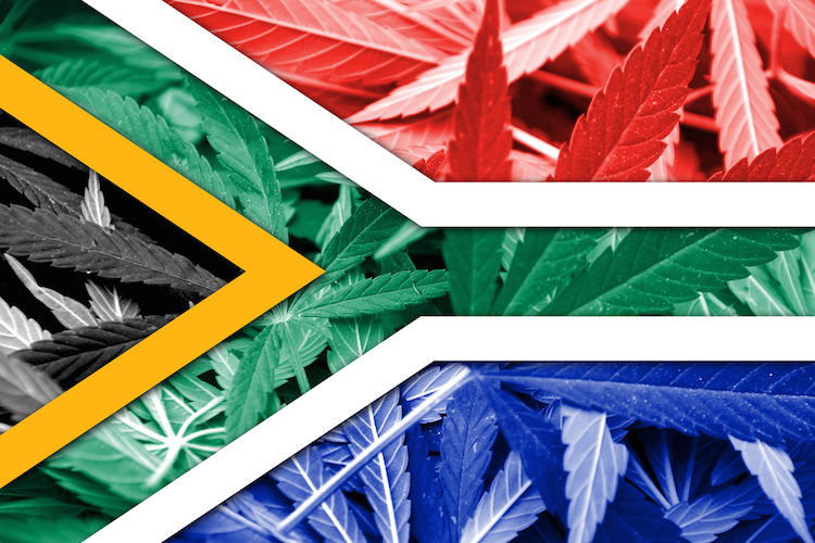marijuan south africa
