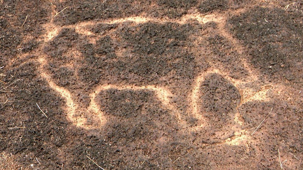 Maharashtra petroglyphs