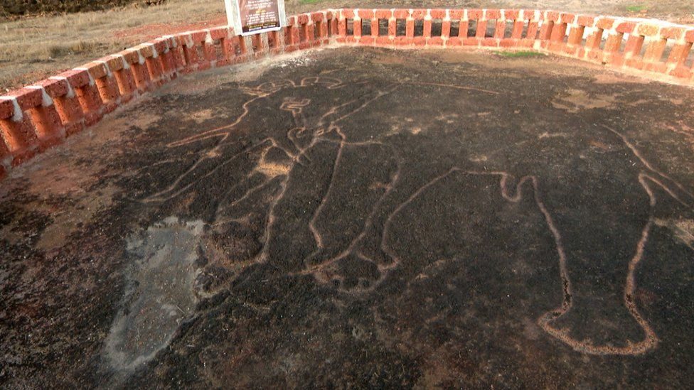 Maharashtra petroglyphs