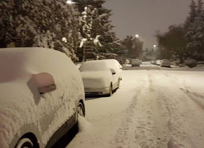 Calgary was hit by an early fall snowstorm