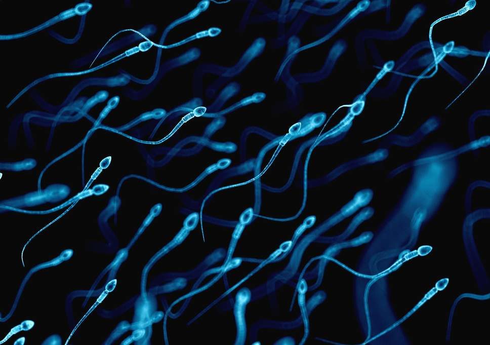 child abuse dna scarring sperm