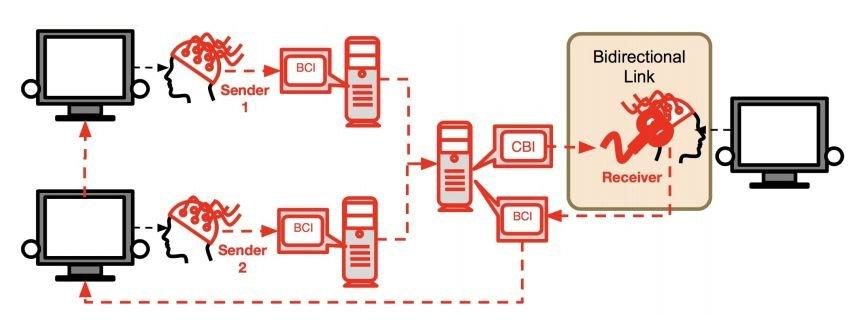 BrainNet System