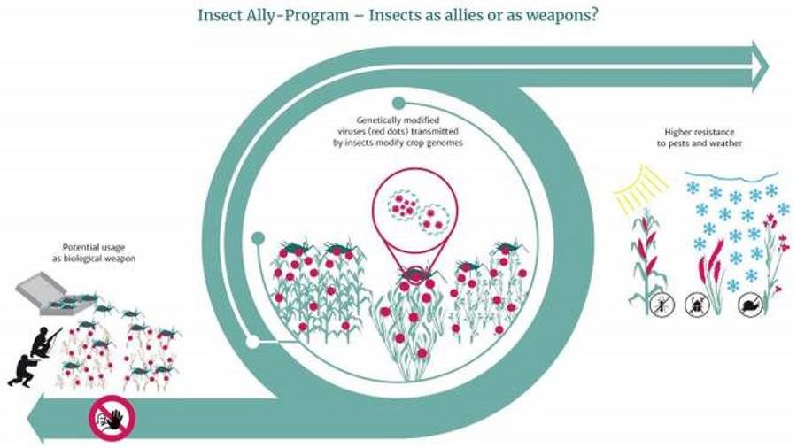 weapons insects disease biological warfare