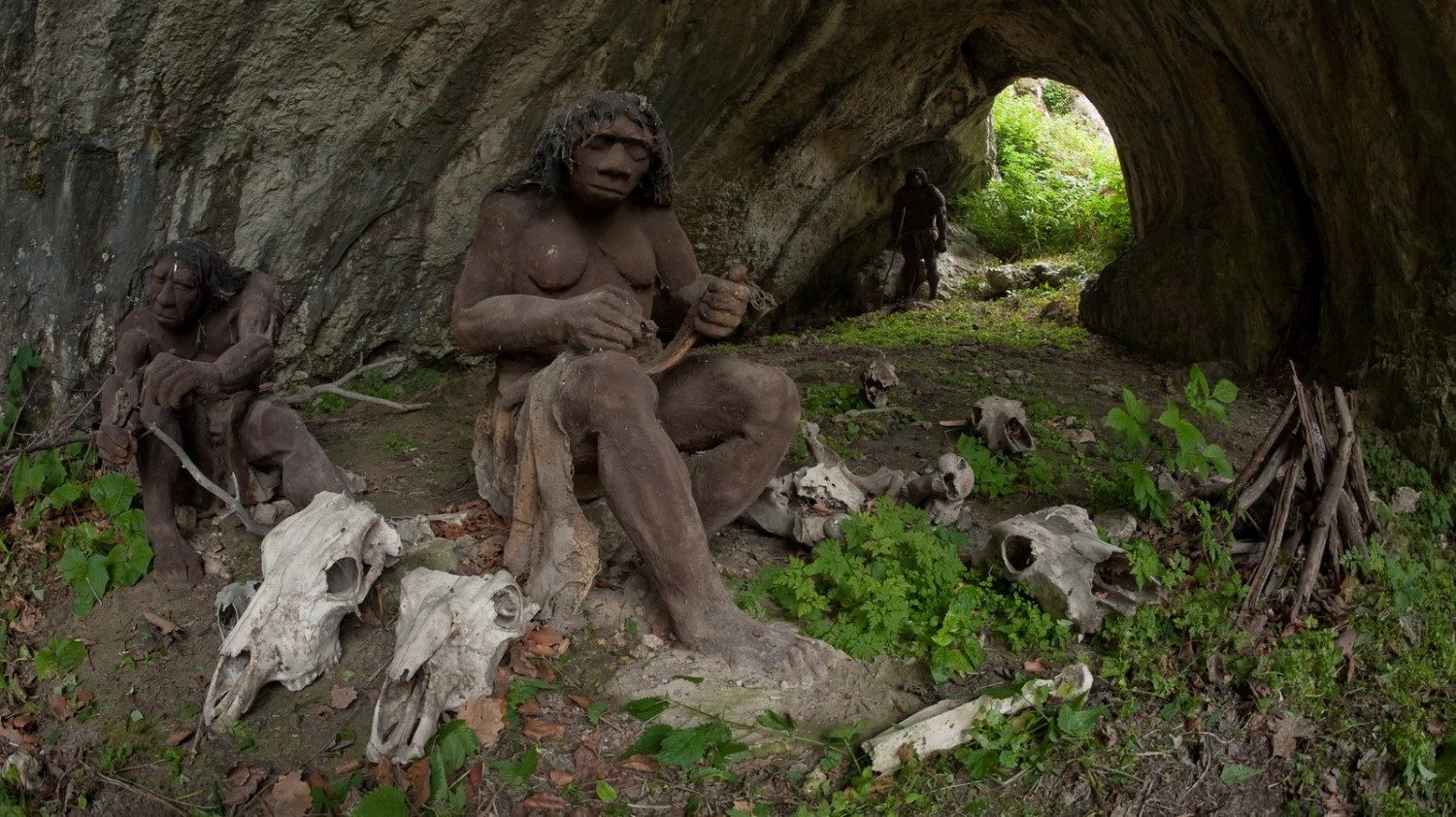 The Dark Cave / Jaskinia Ciemna