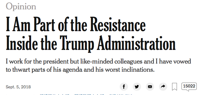 New york times screen grab 1