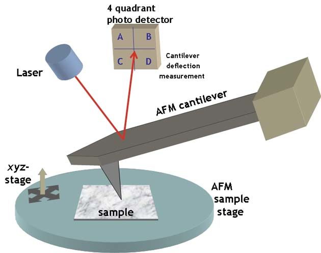 Click to enlarge atomic force microscope