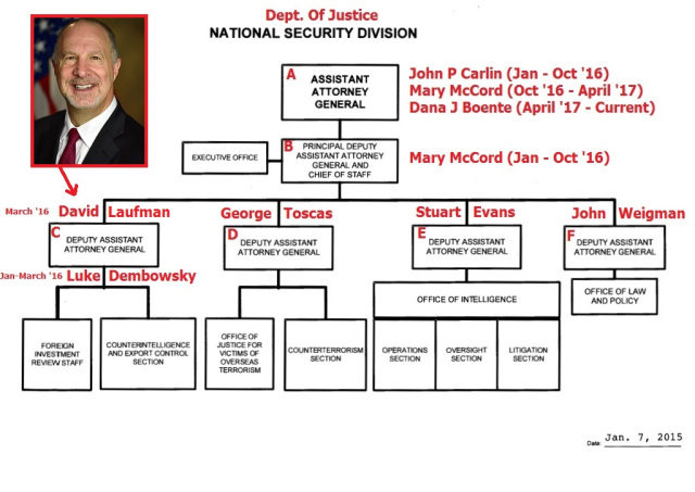 Click to enlarge david laufman DOJ chart