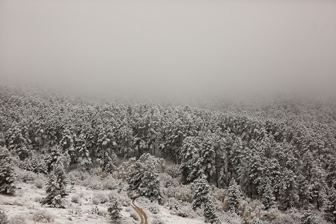 Click to enlarge snow