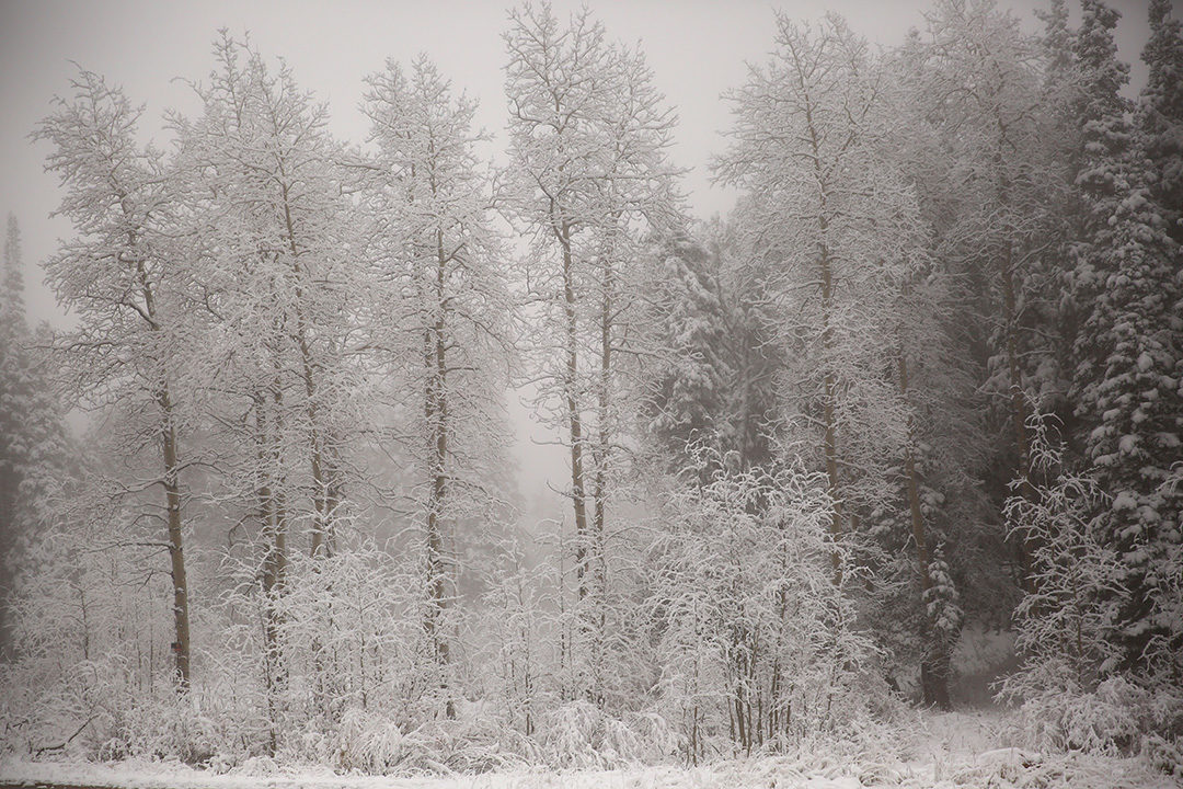Click to enlarge snow