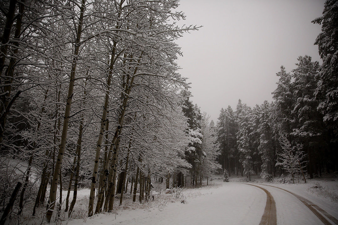 Click to enlarge snow