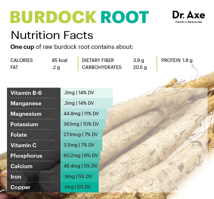 burdock root nutrition
