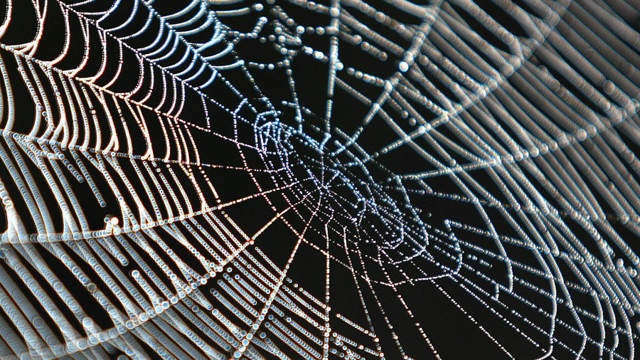 Click to enlarge spiderweb