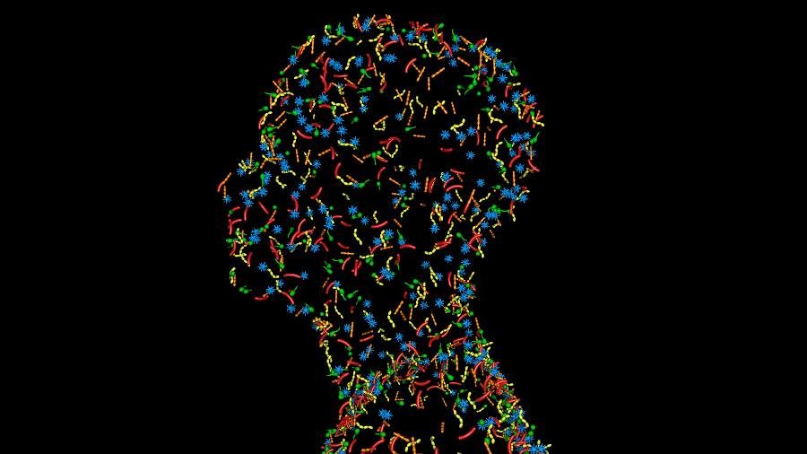 viruses genome