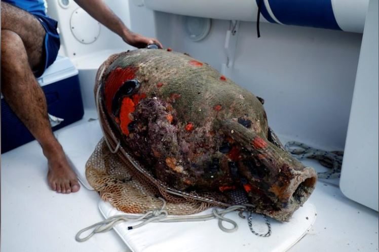 Click to enlarge amphora recovered ancient shipwreck