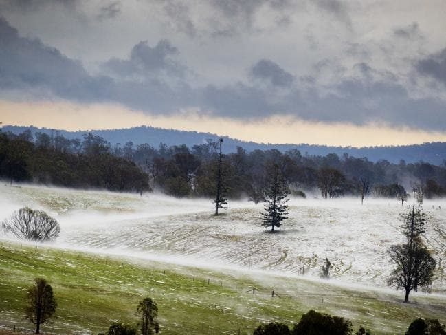 Click to enlarge Greenfields resembled snowfields at Long Flat south of Gympie