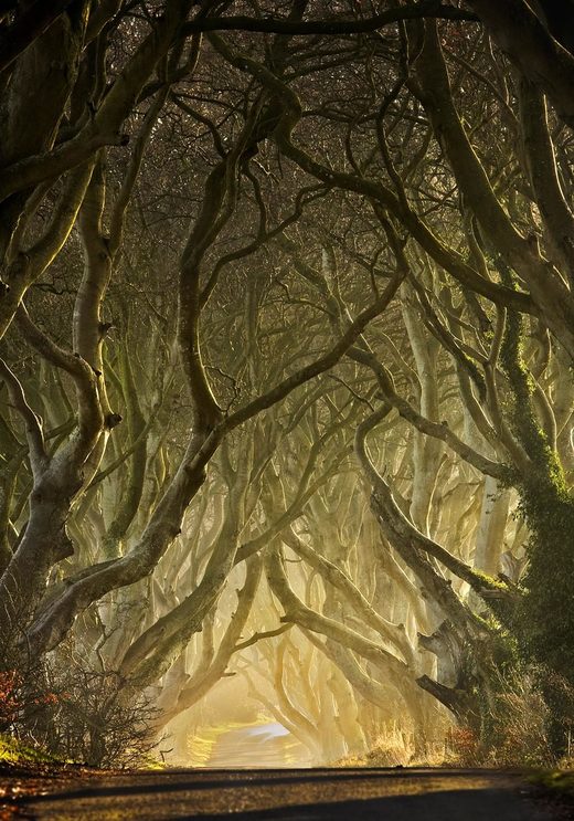 Click to enlarge Ireland
