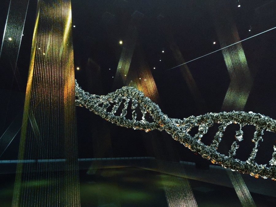 DNA graphic