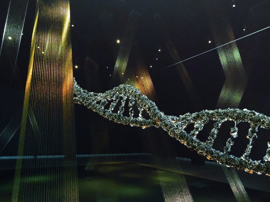 Click to enlarge DNA graphic