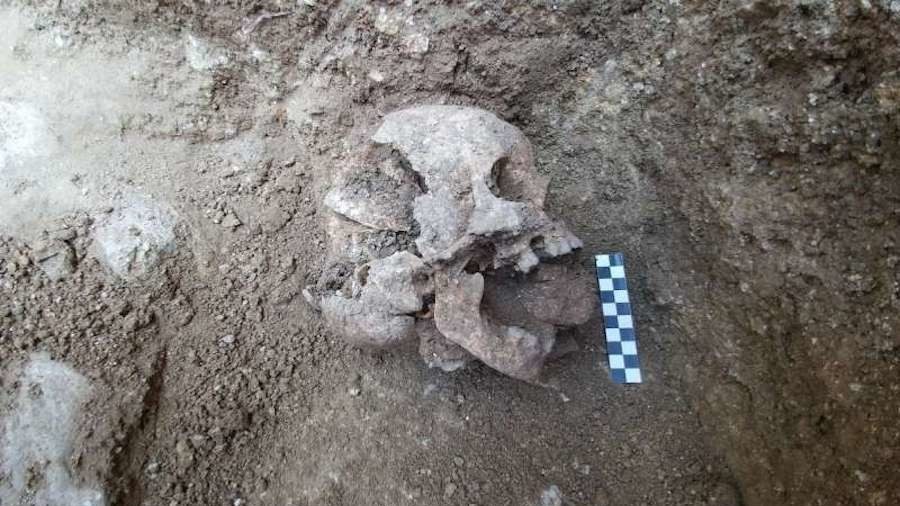 Click to enlarge vampire of lugnano