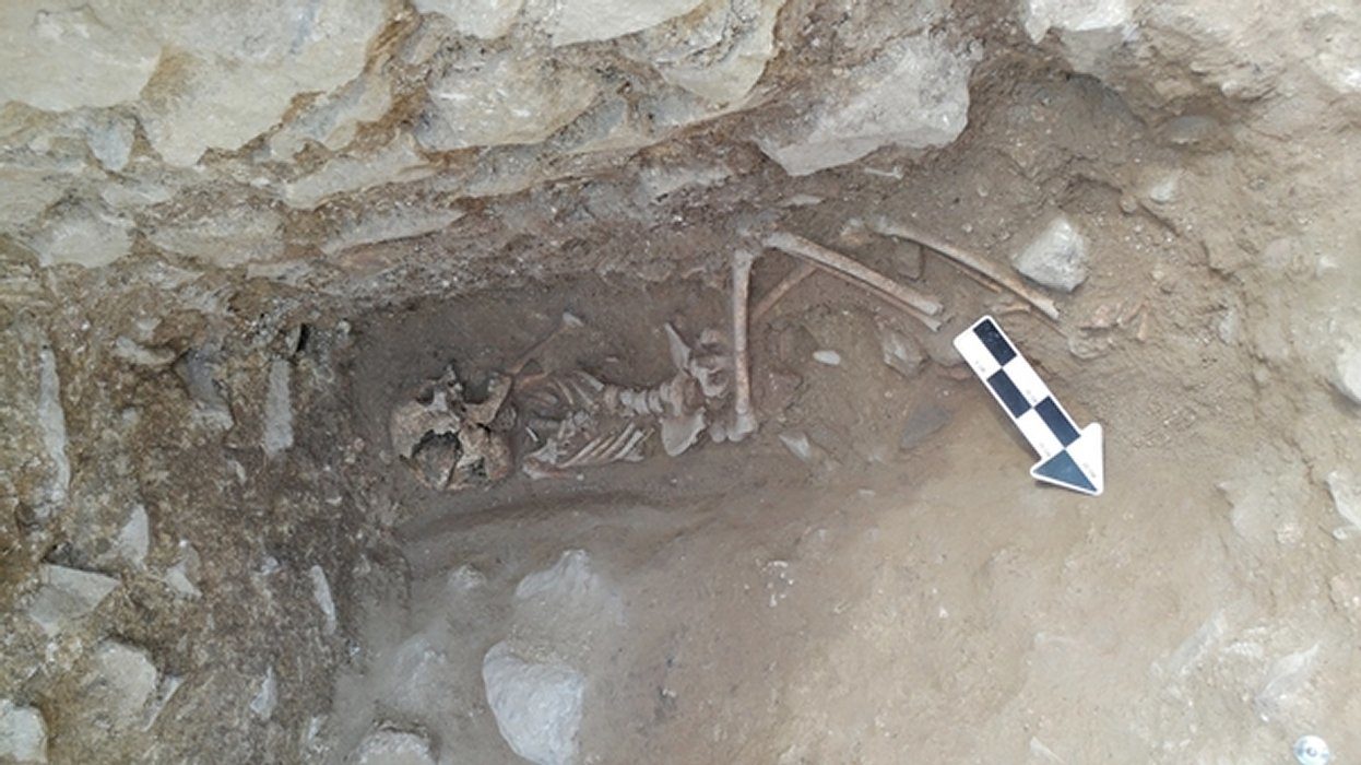 Click to enlarge vampire of lugnano