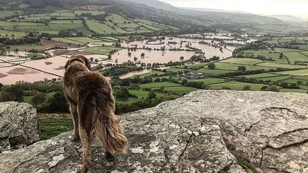North the dog overlooks Crickhowell in Powys as the River Usk burst its banks
