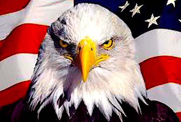 eagle-flag