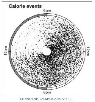 calorie events