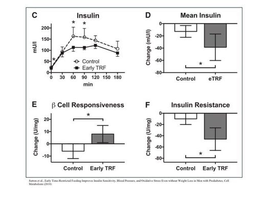 insulin response