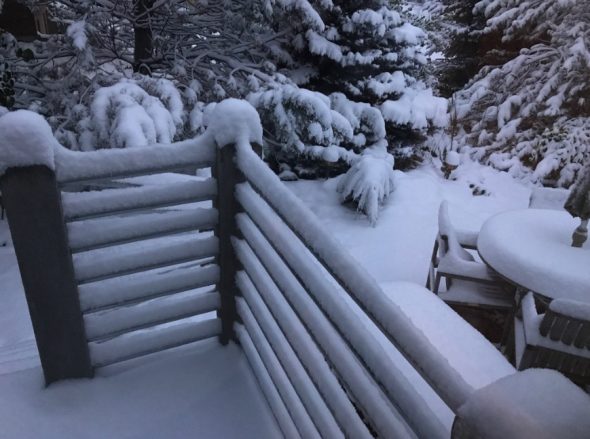 Click to enlarge Snow piling up in backyards in Longmont, Colo. on Sun, Oct 14.