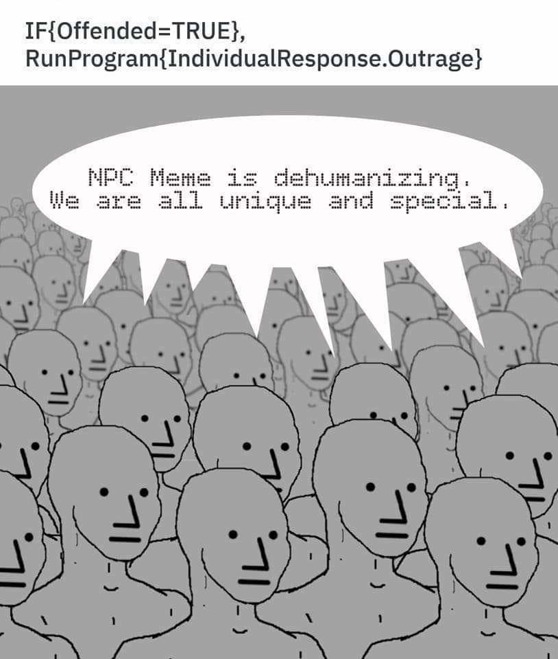 npc_sjw_meme.jpg