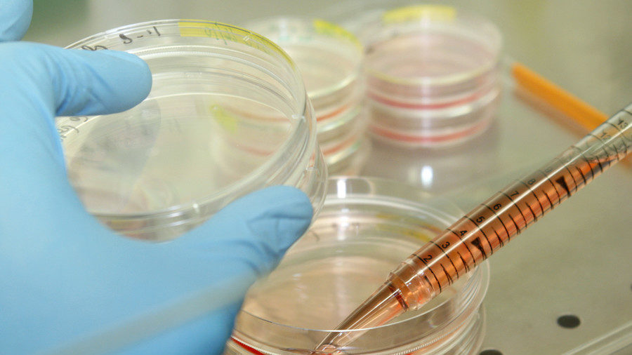 Click to enlarge stem cell research